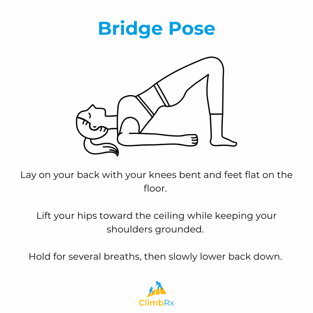 Bridge Pose 1