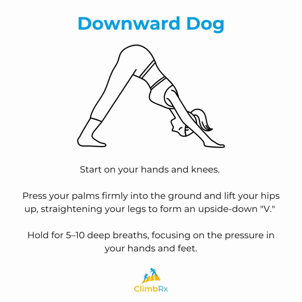 Downward Dog 1