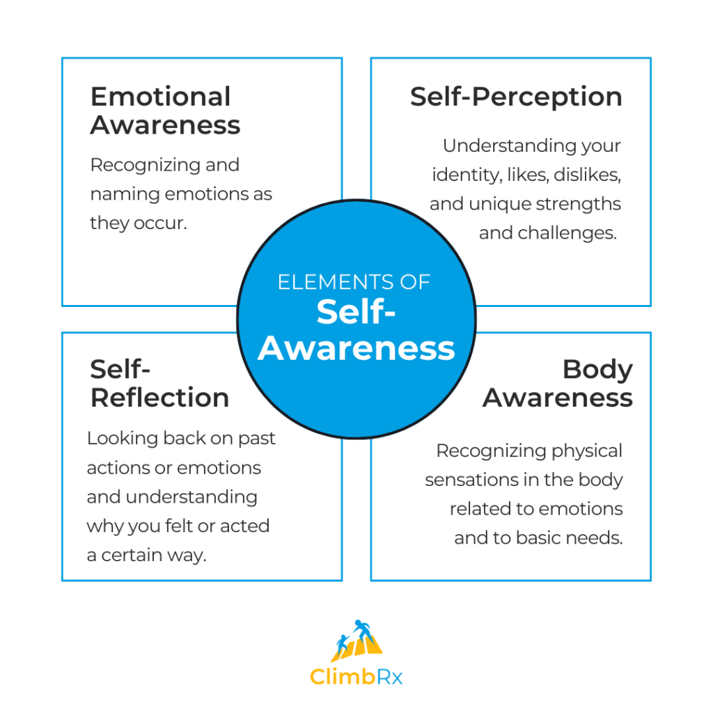 Simple Tips for Developing Self-Awareness in Kids 2 Elements of Self-Awareness - Graphic outlining components of self-awareness, helpful to understand when working to develop self-awareness in kids.