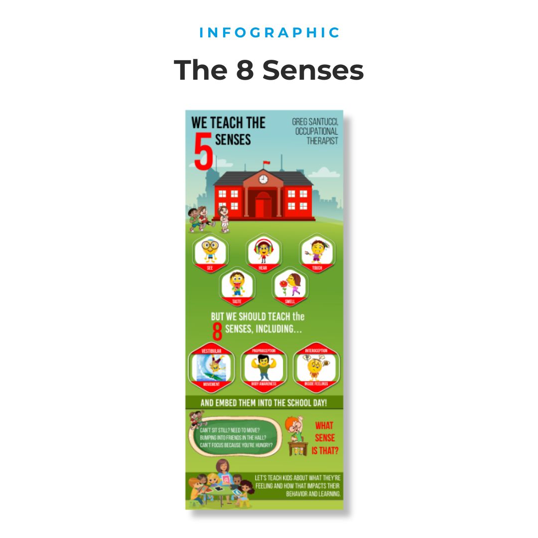 The 8 Senses Infographic 1 The 8 Senses Infographic
