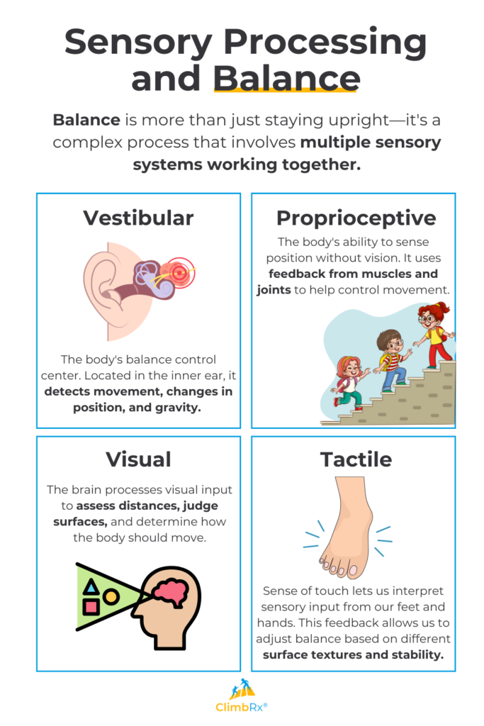 Balance and Sensory Processing