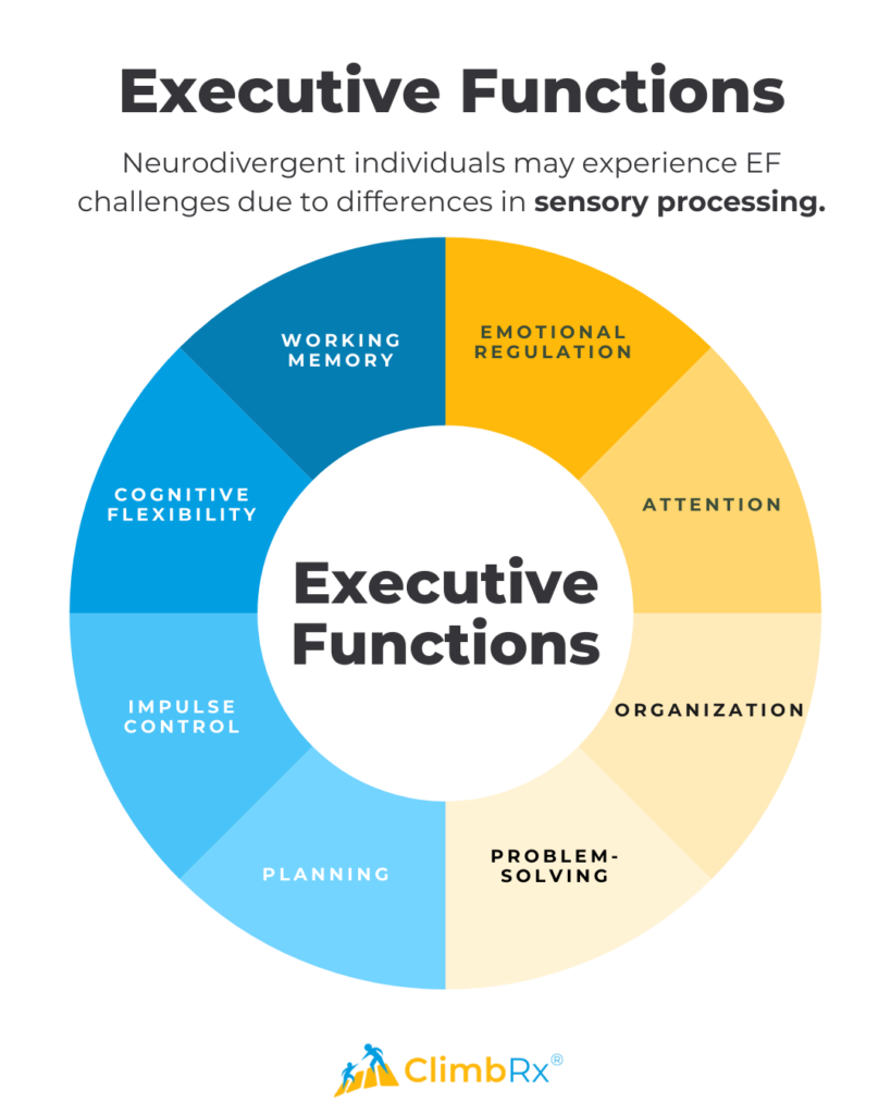 Sensory-Based Approaches for Improving Executive Function Skills in Kids 2 A list of executive functions, which neurodivergent individuals may experience EF challenges due to differences in sensory processing.