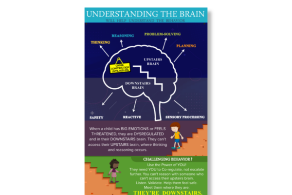 Upstairs Brain vs. Downstairs Brain