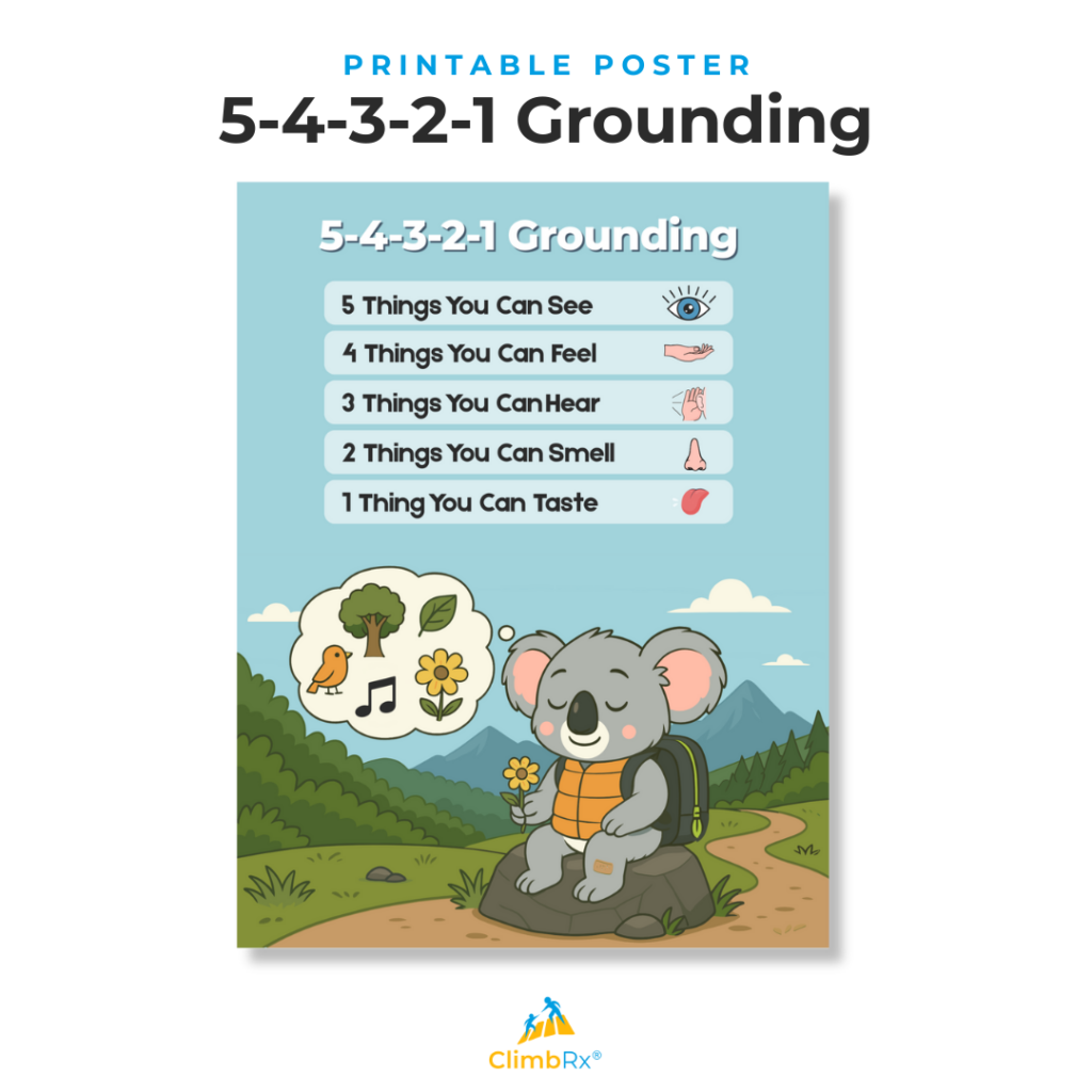 What Is the 5-4-3-2-1 Grounding Technique (And Why Does It Matter)? 2 "Printable poster from ClimbRx titled '5-4-3-2-1 Grounding.' The poster lists five grounding steps, each paired with a small sensory icon: 5 Things You Can See; 4 Things You Can Feel; 3 Things You Can Hear; 2 Things You Can Smell; and 1 Thing You Can Taste. Below the steps, an illustration shows a cartoon koala sitting on a rock in an outdoor nature scene, wearing a backpack and holding a flower, with a thought bubble containing images of a tree, a bird, a musical note, and a sunflower."