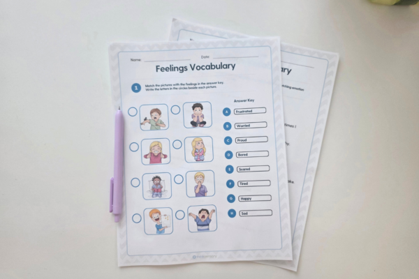 Feelings Vocabulary Worksheet