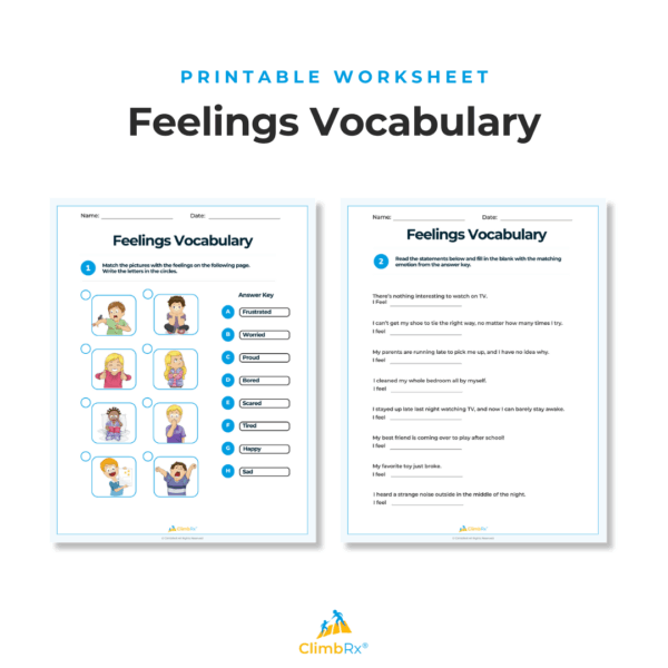 Feelings Vocabulary Worksheet