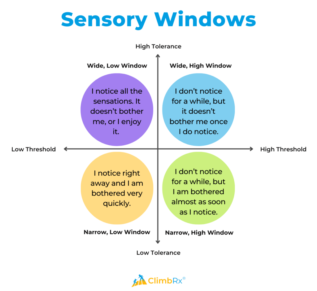 Exploring Your Child’s Sensory Preferences 2 A chart titled “Sensory Windows” displays four quadrants organized by sensory threshold (low to high, left to right) and tolerance (low to high, bottom to top). Each quadrant is represented by a colored circle with a description:
Top Left (Purple - Wide, Low Window): “I notice all the sensations. It doesn’t bother me, or I enjoy it.” (Low threshold, high tolerance)
Top Right (Blue - Wide, High Window): “I don’t notice for a while, but it doesn’t bother me once I do notice.” (High threshold, high tolerance)
Bottom Right (Green - Narrow, High Window): “I don’t notice for a while, but I am bothered almost as soon as I notice.” (High threshold, low tolerance)
Bottom Left (Yellow - Narrow, Low Window): “I notice right away and I am bothered very quickly.” (Low threshold, low tolerance)
Axes are labeled “Threshold” (horizontal) and “Tolerance” (vertical), with “ClimbRx®” logo at the bottom.