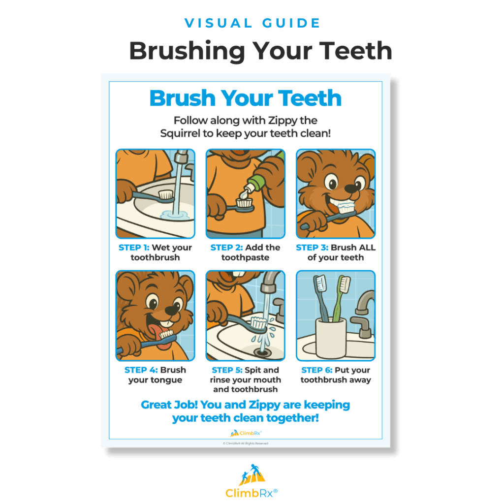 "Visual guide from ClimbRx titled 'Brush Your Teeth: Follow along with Zippy the Squirrel to keep your teeth clean!' The guide shows six illustrated steps featuring a cartoon squirrel character named Zippy: Step 1 — Wet your toothbrush; Step 2 — Add the toothpaste; Step 3 — Brush all of your teeth; Step 4 — Brush your tongue; Step 5 — Spit and rinse your mouth and toothbrush; Step 6 — Put your toothbrush away. The guide closes with the statement: 'Great job! You and Zippy are keeping your teeth clean together!'"