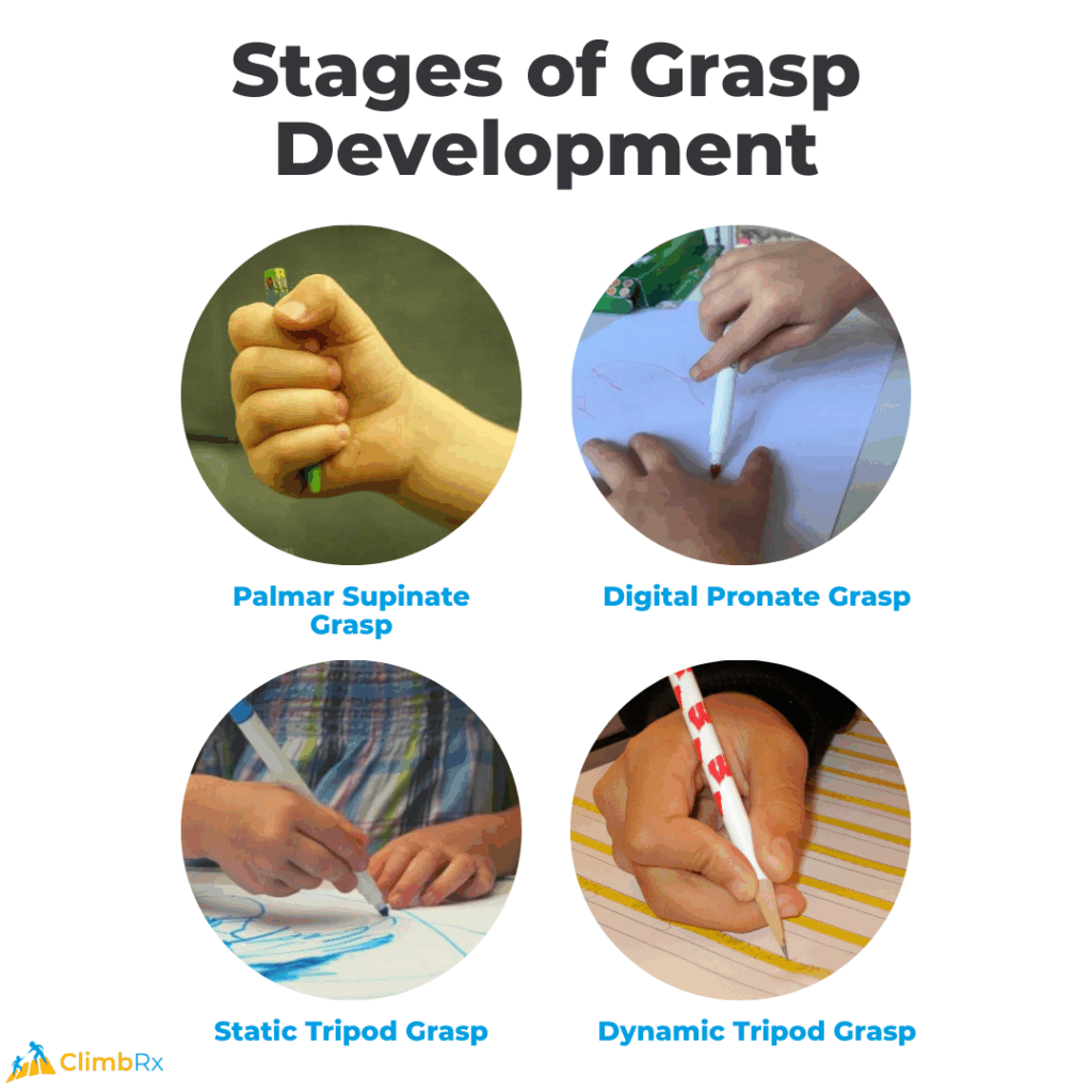Posture Before Pencil: How Body Position Impacts Writing Success 2 Here's alt text for this image:
"Infographic showing four stages of pencil grasp development in children. Four circular photos demonstrate: Palmar Supinate Grasp - toddler holding green crayon in fisted palm; Digital Pronate Grasp - child holding white marker with fingers pointing down; Static Tripod Grasp - child holding marker with three fingers in fixed position while coloring; Dynamic Tripod Grasp - child holding red and white pencil with mature three-finger grip while writing. Title reads 'Stages of Grasp Development' with ClimbRx logo at bottom.