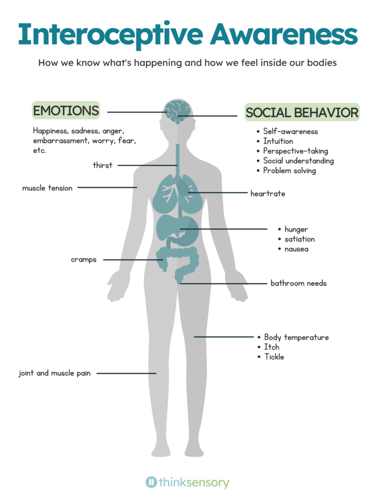 "Infographic titled 'Interoceptive Awareness' from Think Sensory. The subtitle reads: How we know what's happening and how we feel inside our bodies.
The graphic features a gray silhouette of a human body with teal illustrations of internal organs including the brain, lungs, heart, stomach, and intestines. Lines extend from various parts of the body to labeled text on either side, identifying physical and emotional sensations associated with interoception.
On the upper left, a section labeled Emotions is connected to the brain and reads: Happiness, sadness, anger, embarrassment, worry, fear, etc. On the upper right, a section labeled Social Behavior is also connected to the brain and lists: Self-awareness, Intuition, Perspective-taking, Social understanding, and Problem solving.
Additional body sensations are labeled with lines pointing to corresponding areas of the body silhouette. On the left side: thirst pointing to the throat area, muscle tension pointing to the chest and arm area, cramps pointing to the abdominal area, and joint and muscle pain pointing to the lower legs. On the right side: heart rate pointing to the chest, hunger, satiation, and nausea pointing to the stomach area, bathroom needs pointing to the lower abdominal area, and body temperature, itch, and tickle pointing to the lower torso and skin.
The Think Sensory logo appears at the bottom of the graphic."
