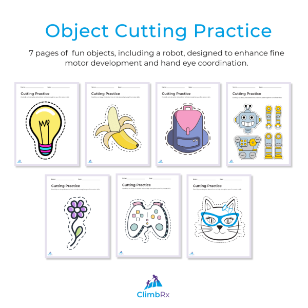 Objects Cutting Practice